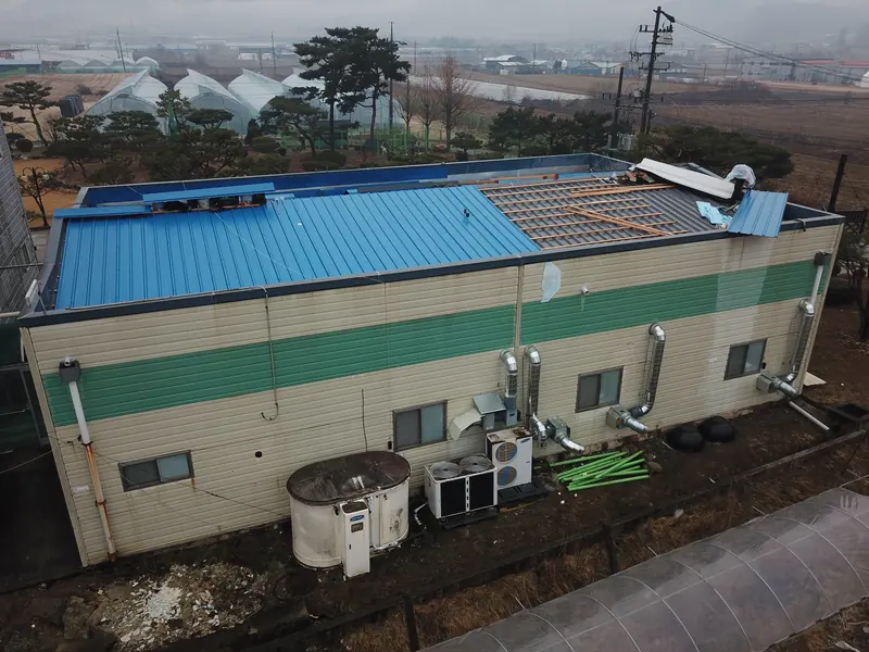 안성 죽산 (주)다우리 사무동 지붕 칼라강판 공사 시공 중 · 칼라강판 시공